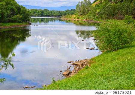 Wild ducks fly over the river. Summer landscape. Morning in Siberia 66178021