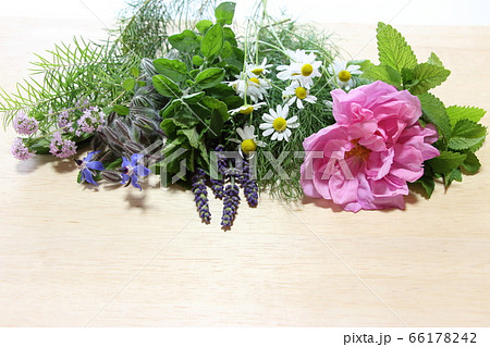 香りの花束 66178242