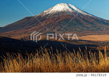 三国山稜・鉄砲木ノ頭から見る朝の富士山 66178319