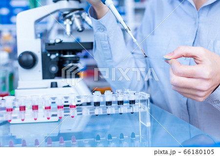 Microscope slide in the laboratory 66180105