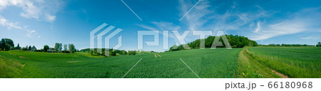 Panorama of summer green field. European rural 66180968