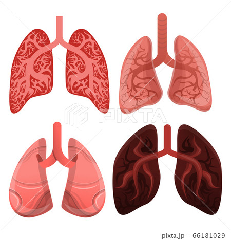 Lung icon set, cartoon style Lung icon set, cartoon style 66181029