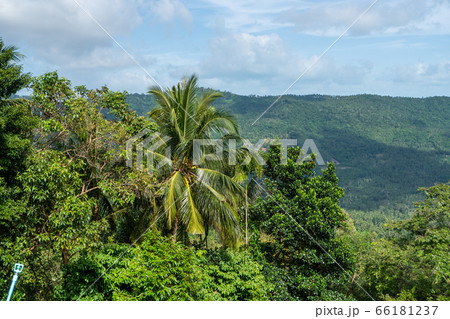 Summer tropical forest hills with a cloudy sky. Mountains and white clouds on a blue sky. Tropical summer holiday vacation concept. 66181237