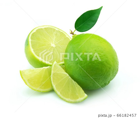 Lime citrus Lime citrus 66182457