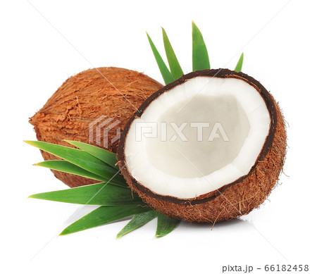 Coconuts with leaves Coconuts with leaves 66182458