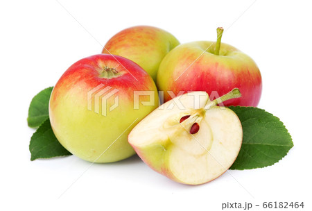 Apples with leaves 66182464