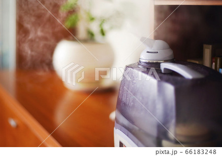 Air humidifier in modern room 66183248