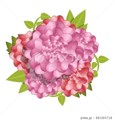 Camellia fresh flower concept background, cartoon style Camellia fresh flower concept background, cartoon style 66184718