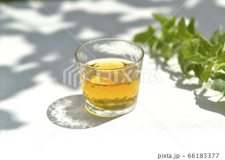 グラスのお茶 グラスのお茶 66185377