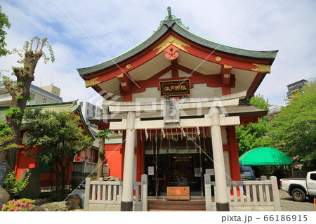 東京 神田明神 江戸神社 東京 神田明神 江戸神社 66186915