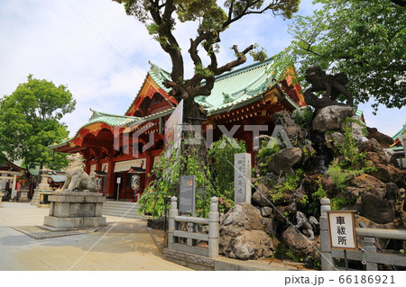 東京　神田明神　本殿と獅子山 66186921