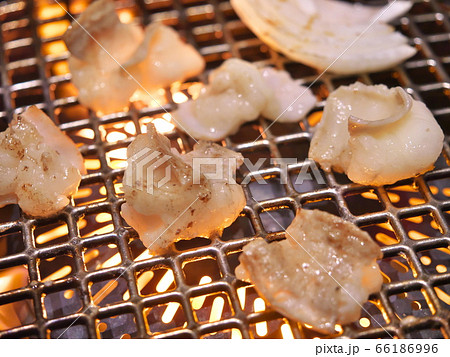 伊賀牛ホルモン(テッチャン) 伊賀牛ホルモン(テッチャン) 66186996