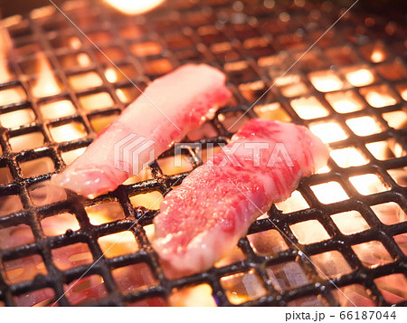 伊賀牛焼肉(トロカルビ) 伊賀牛焼肉(トロカルビ) 66187044