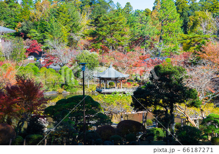 成田山公園の紅葉風景 秋 （千葉県成田市 成田山新勝寺） 2019年11月 66187271
