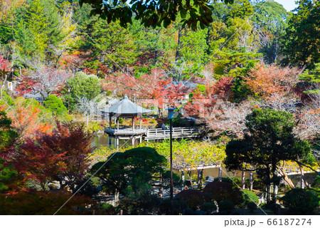 成田山公園の紅葉風景 秋 (千葉県成田市 成田山新勝寺) 2019年11月 成田山公園の紅葉風景 秋 (千葉県成田市 成田山新勝寺) 2019年11月 66187274