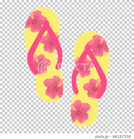 Illustration of hibiscus print flip flops 66187356