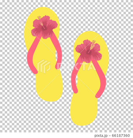 Illustration of hibiscus flip flops Illustration of hibiscus flip flops 66187360