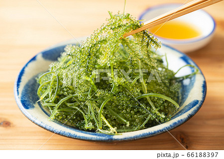 海ぶどう　８０グラム 66188397