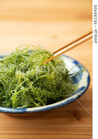 海ぶどう　８０グラム 66188400