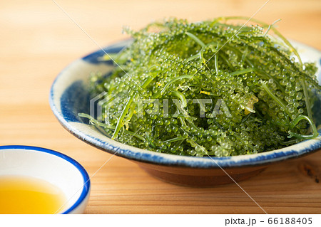 海ぶどう 80グラム 海ぶどう 80グラム 66188405