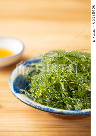 海ぶどう　８０グラム 66188406