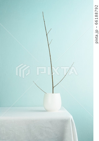 white ceramic tea cup with wood branch on table white ceramic tea cup with wood branch on table 66188792