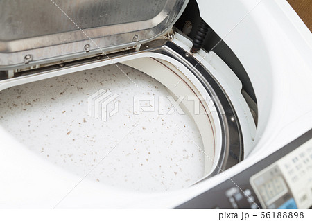 洗濯槽　クリーニング 66188898