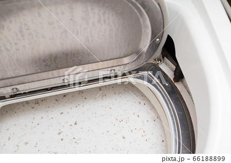 洗濯槽　クリーニング 66188899
