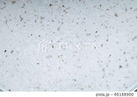 洗濯槽　汚れ 66188900