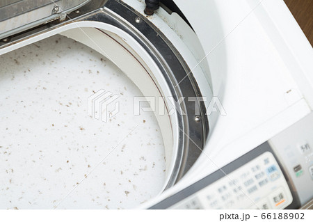 洗濯槽　掃除 66188902