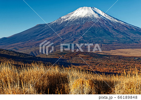 三国山稜・鉄砲木ノ頭から見る朝の富士山 66189848