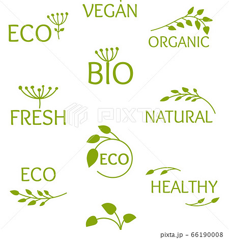 Eco, bio, organic seamless pattern print vector 66190008