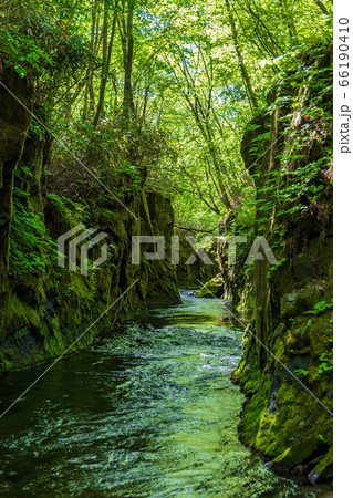 樽前ガロー 66190410