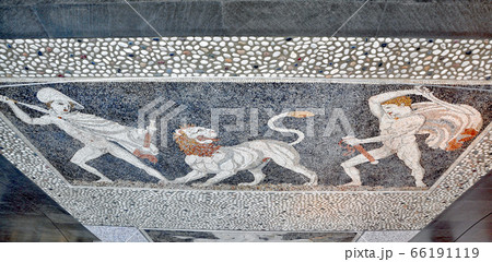 ギリシャ・ペラの遺跡博物館　床のモザイク画「ライオン狩」 66191119