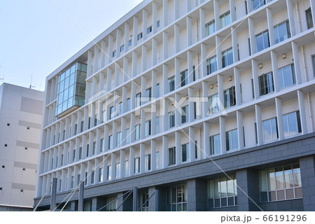 茅ヶ崎市役所 茅ヶ崎市役所 66191296