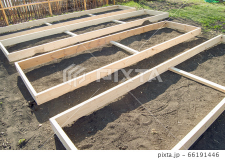 Wooden formwork from new boards for vegetable beds in the garden, preparation and construction, carpentry 66191446