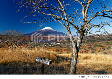 晩秋の三国山稜・高指山から見る富士山と山中湖 66191721