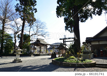 國魂神社へ行きました　＃11 66191741