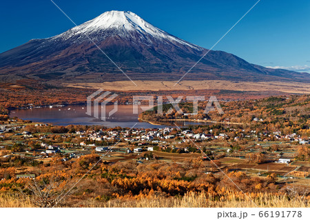 晩秋の高指山から見る富士山と山中湖 66191778