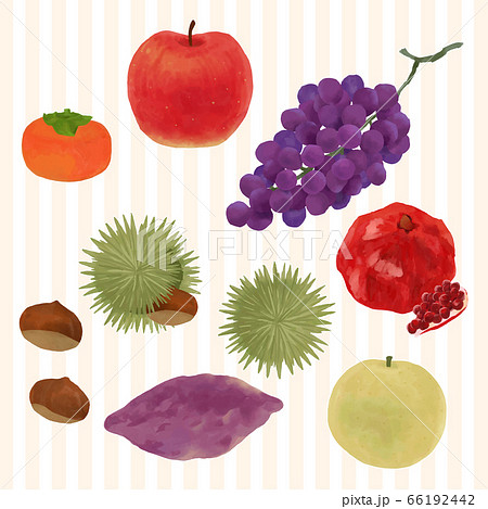食欲の秋を彩るフルーツのイラストのイラスト素材
