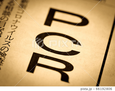 「PCR」の見出し　 66192806