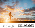 Silhouette of a young woman walking with her dog 66193663