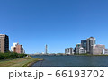 初夏の新潟市中心部の市街地 萬代橋と信濃川　 66193702