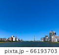 初夏の新潟市中心部の市街地 萬代橋と信濃川　 66193703