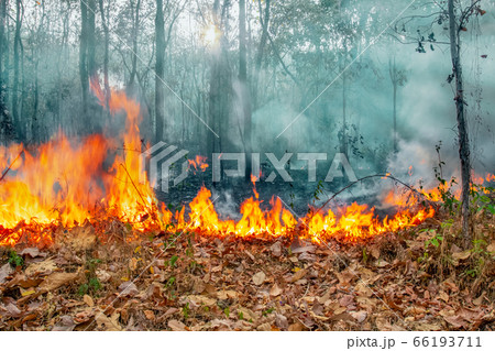 Australia bushfires, The fire is fueled by wind Australia bushfires, The fire is fueled by wind 66193711