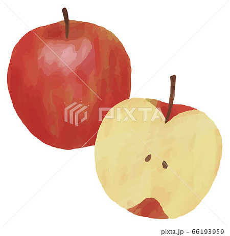 りんご 林檎 イラスト 水彩 素材のイラスト素材