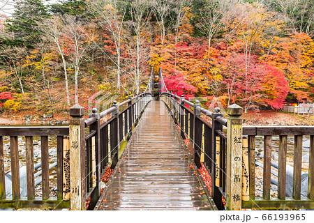 紅の吊橋と紅葉風景・秋の塩原渓谷(栃木県那須塩原市)2019年11月 紅の吊橋と紅葉風景・秋の塩原渓谷(栃木県那須塩原市)2019年11月 66193965