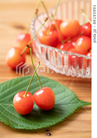 さくらんぼ 佐藤錦 さくらんぼ 佐藤錦 66193991
