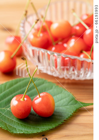 さくらんぼ 佐藤錦 さくらんぼ 佐藤錦 66193993