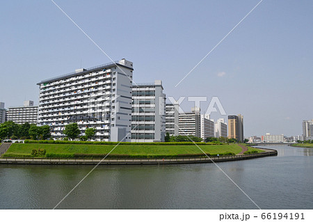 豊島五丁目団地群と隅田川テラス　足立区側から北区方面を見る 66194191